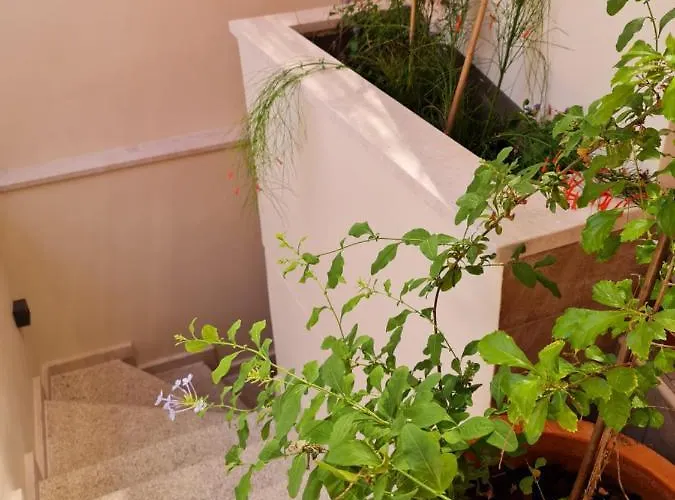 בקתה Selin The Stone House