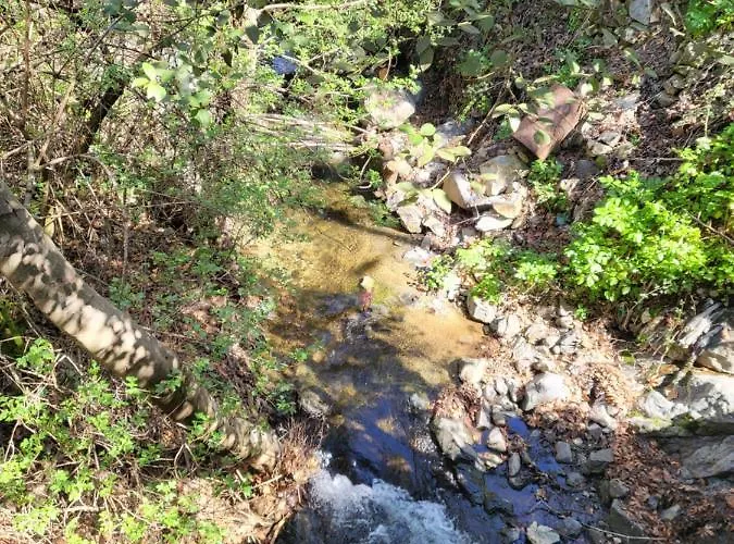 Selin The Stone House *