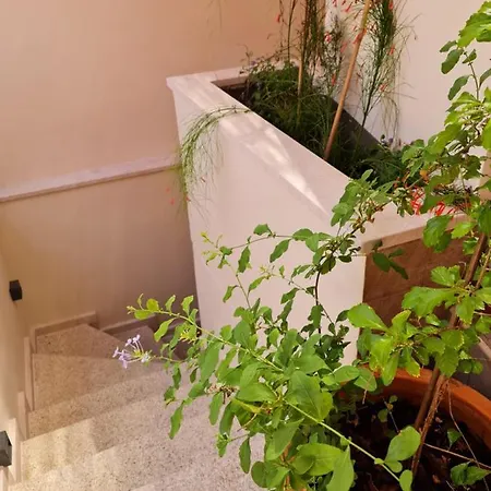 Alpehytte Selin The Stone House