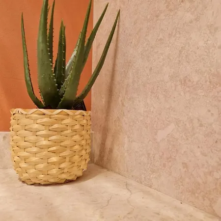 Selin The Stone House *