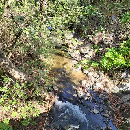 Selin The Stone House *