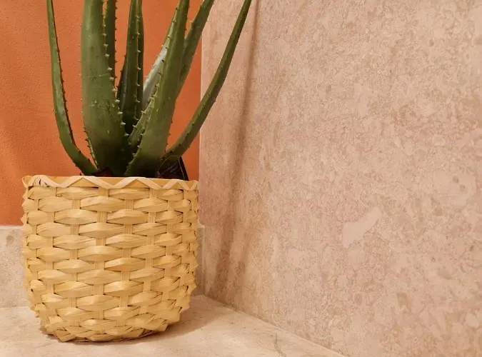 Selin The Stone House *